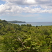 The View is Lush and Green!