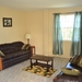 Comfortable Living Room Area With Lots Of Natural Light