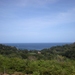 Sea View!