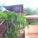 The Tree House 