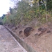 Gently sloping land with good drains
