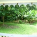 Spacious yard